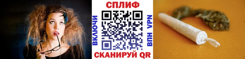 Каннабис сатива  Енисейск 